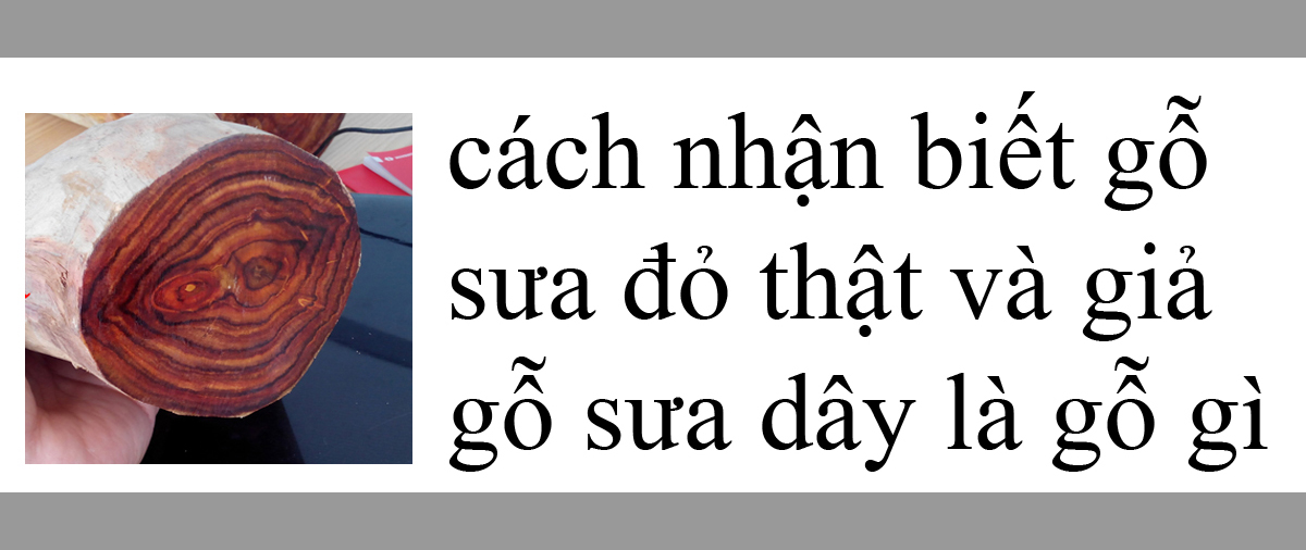 cách nhận biết gỗ sưa đỏ thật giả cách nhận biết gỗ sưa đỏ thật giả