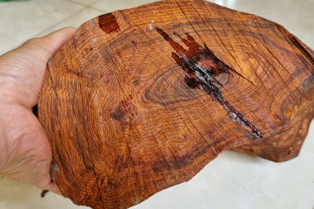 chun sụn gỗ sưa bắc già ms065