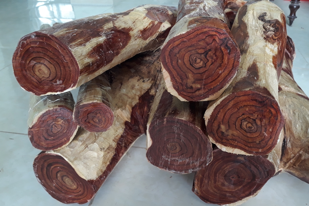 Bảng giá gỗ sưa | báo giá gỗ sưa 2019 mới nhất | gỗ sưa nam, gỗ sưa bắc,  giá cho từng loại.