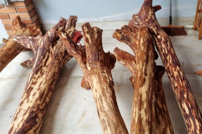 gỗ sưa bắc đk thân từ 12 - 17cm chất đỏ đen ms 058
