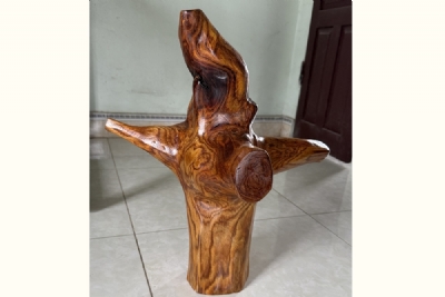 gốc gô sưa đánh bóng ms129