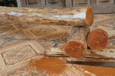 gỗ sưa bắc đk 12 - 13cm ms057