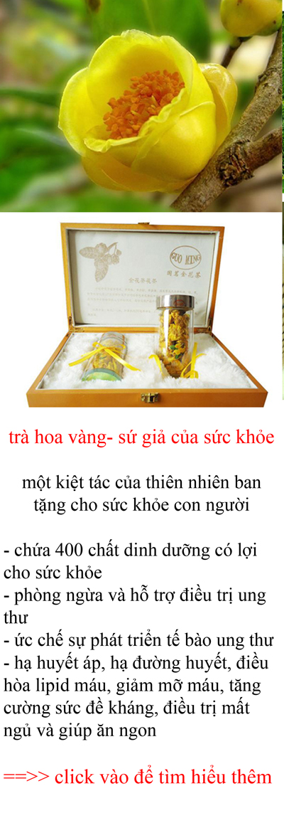 trà hoa vàng ttd trà hoa vàng ttd